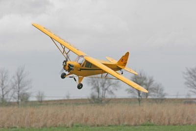 New 1/4 scale, 106” Cub from Hangar 9