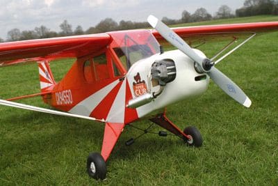 Clipped Wing Cub 48F