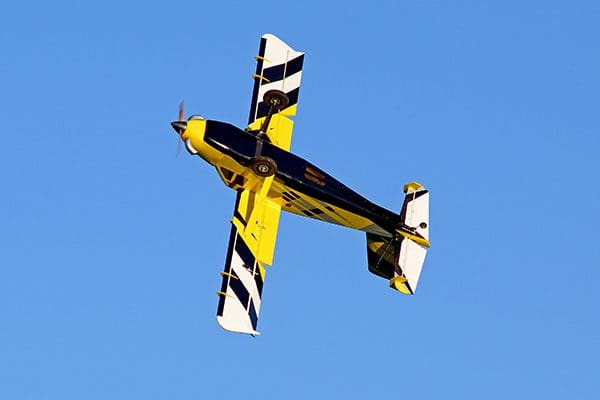 feb21bumblebee12