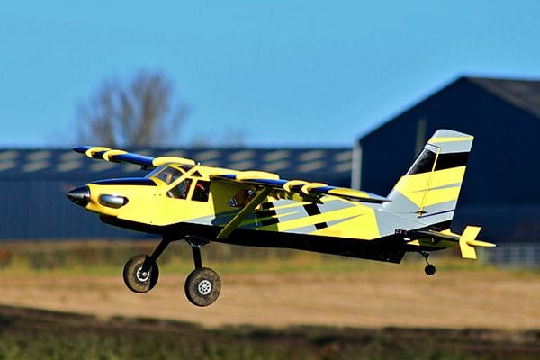 feb21bumblebee13
