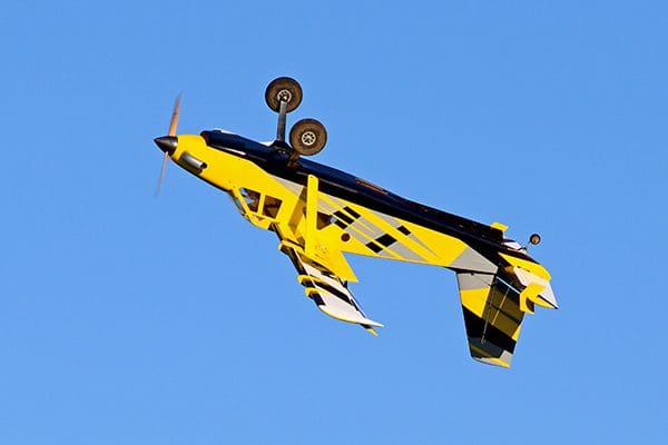 feb21bumblebee14