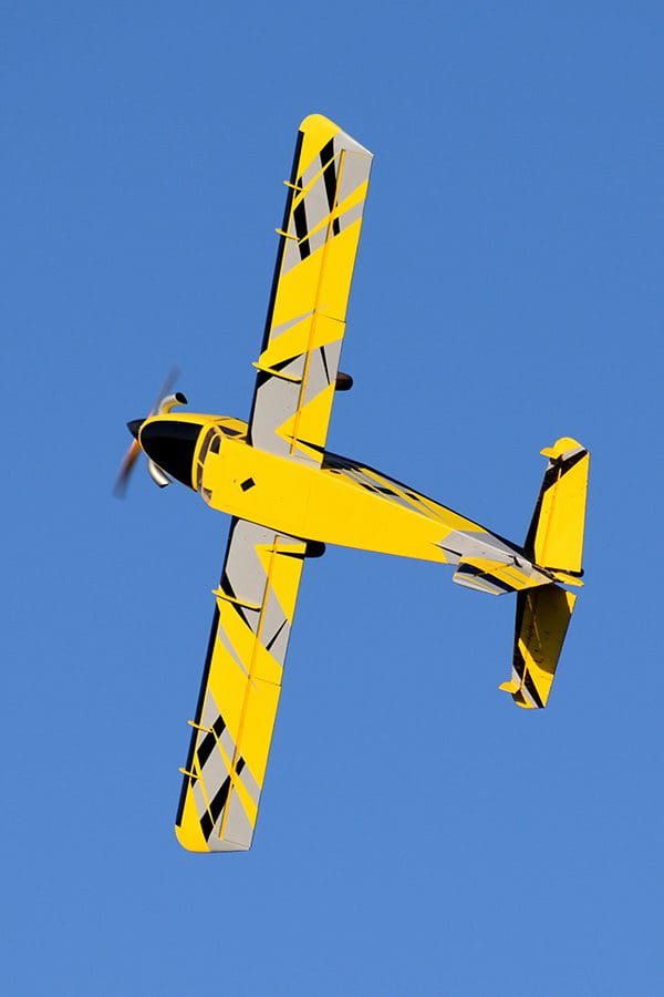 feb21bumblebee3