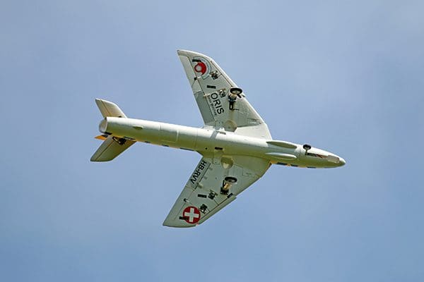 aug21jdynamhunter19